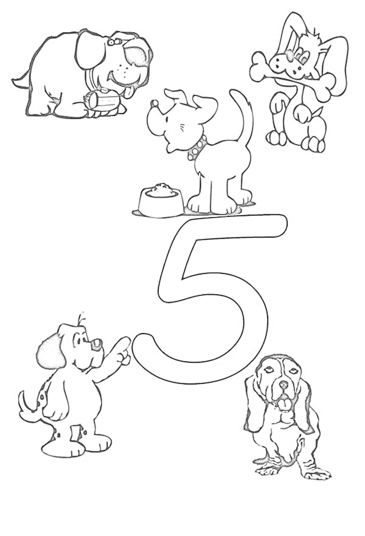 На раскраске изображено: Цифра 5, Миска, Для детей, Собака, Животные