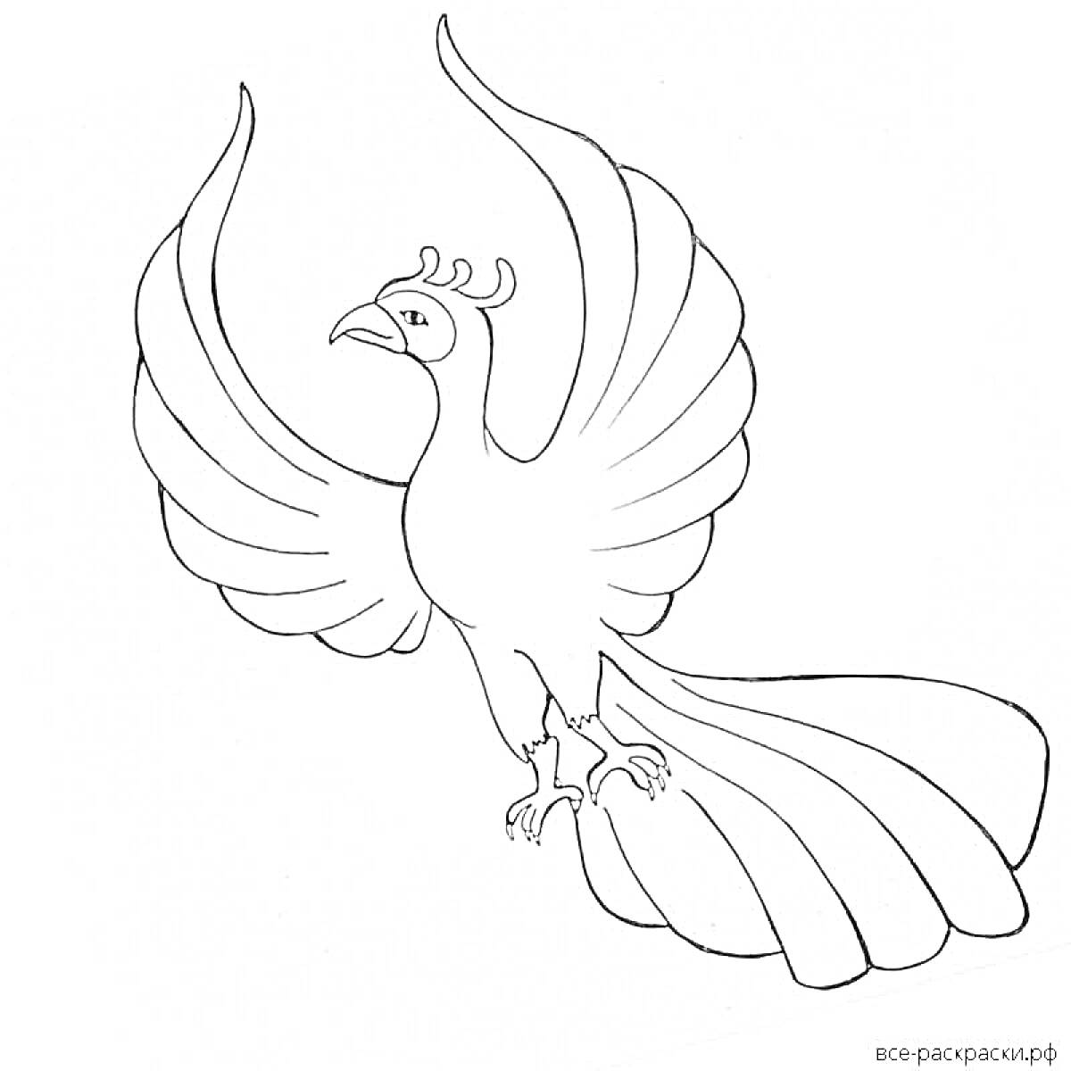 На раскраске изображено: Жар-птица, Птица, Для детей, Крылья, Хвост, Мифические существа