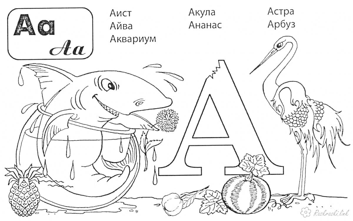 Раскраска Буква А: аист, айва, аквариум, акула, ананас, астра, арбуз