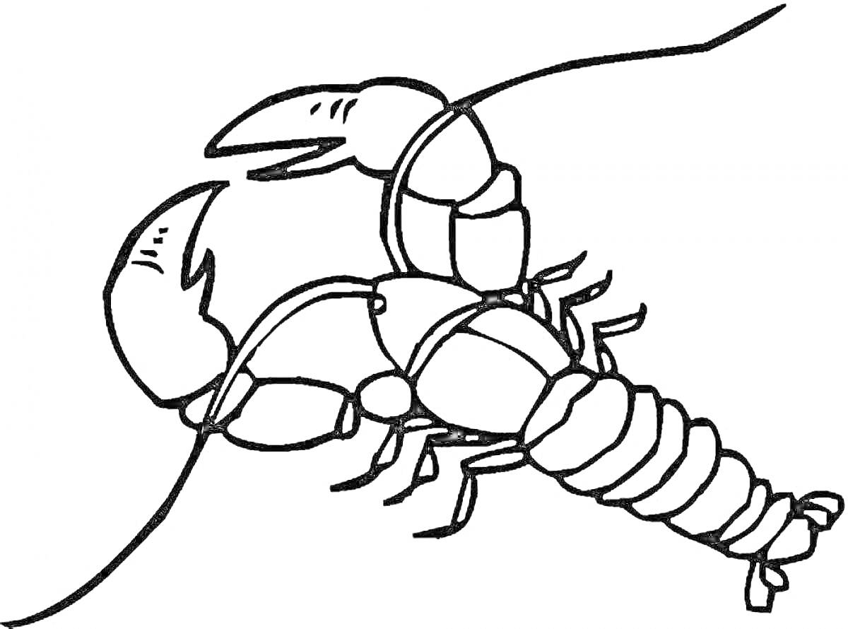 На раскраске изображено: Лангуст, Морепродукты, Клешни, Арт