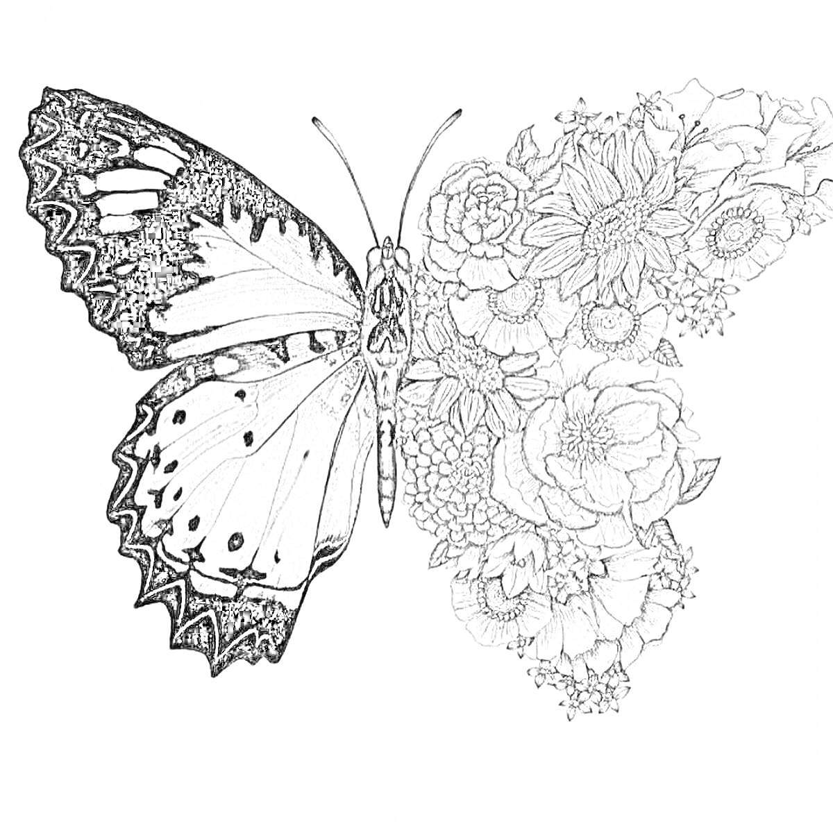 На раскраске изображено: Бабочка, Цветы, Узоры, Эстетика, Природа, Крылья