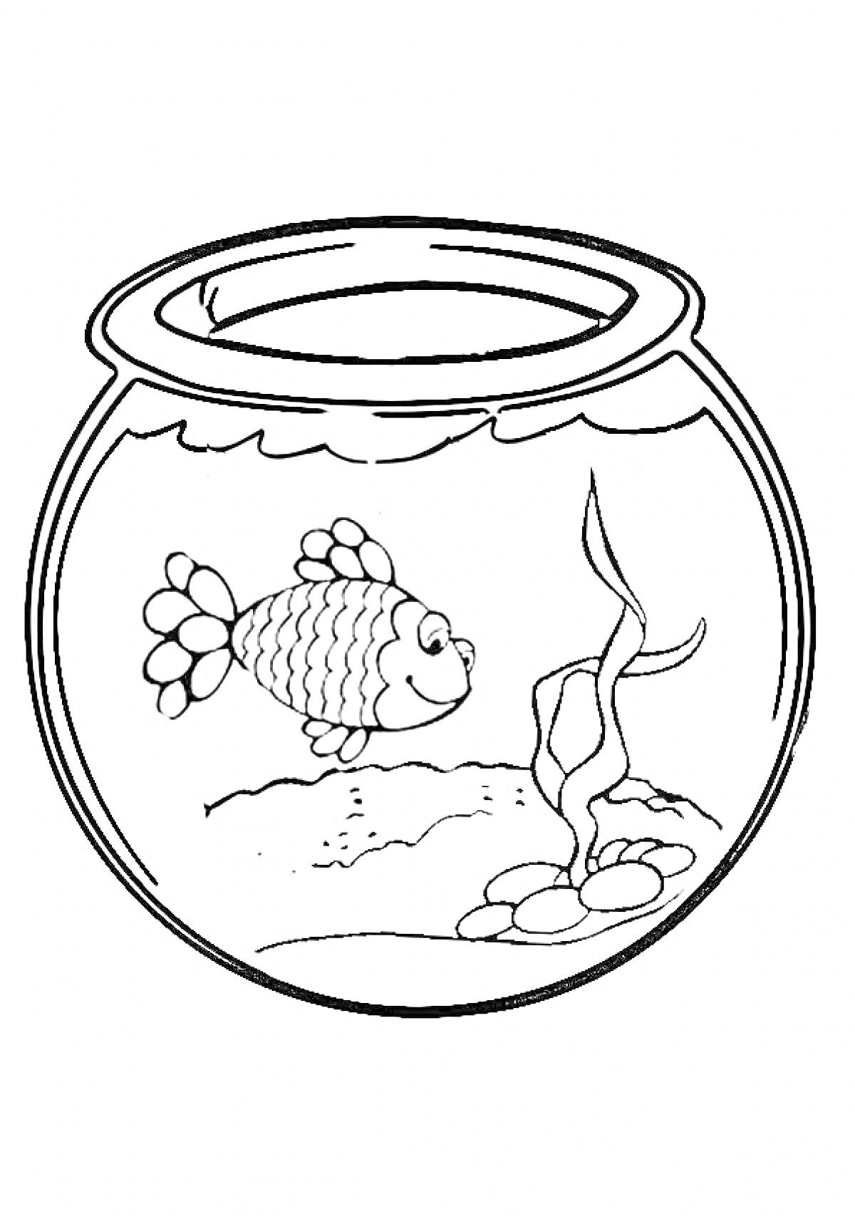 РаскраскаРыбка в круглом аквариуме с водорослями и камнями