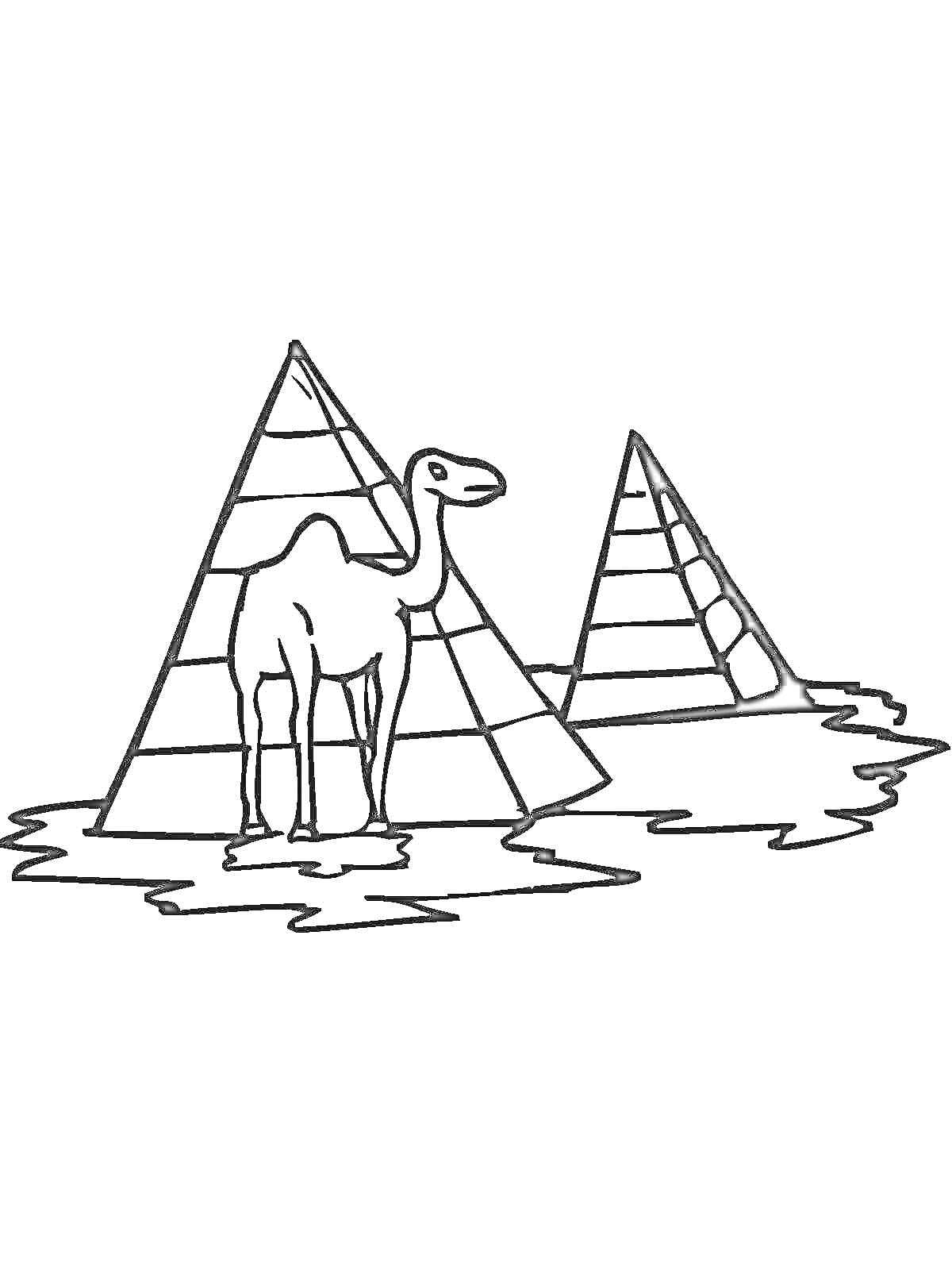 На раскраске изображено: Верблюд, Египет, Пустыня, Путешествия