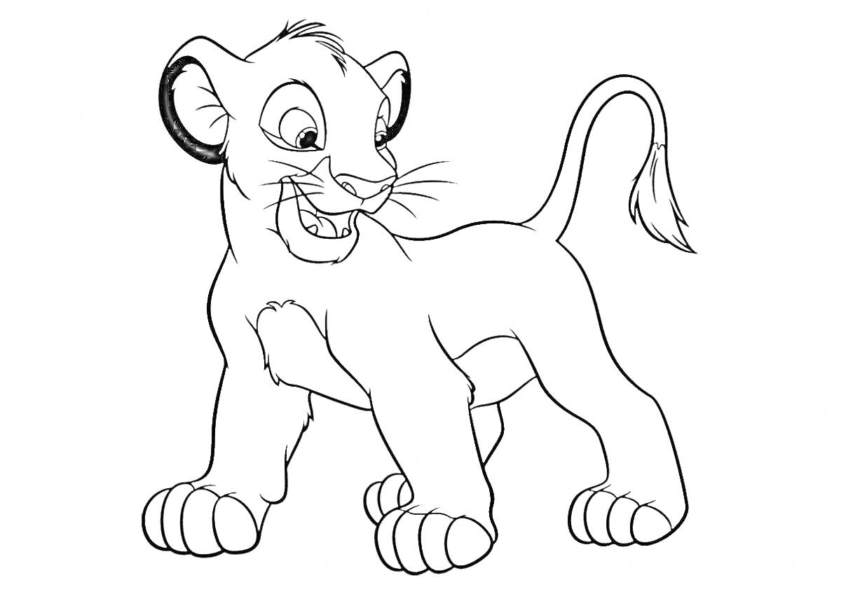 Раскраска Детеныш льва