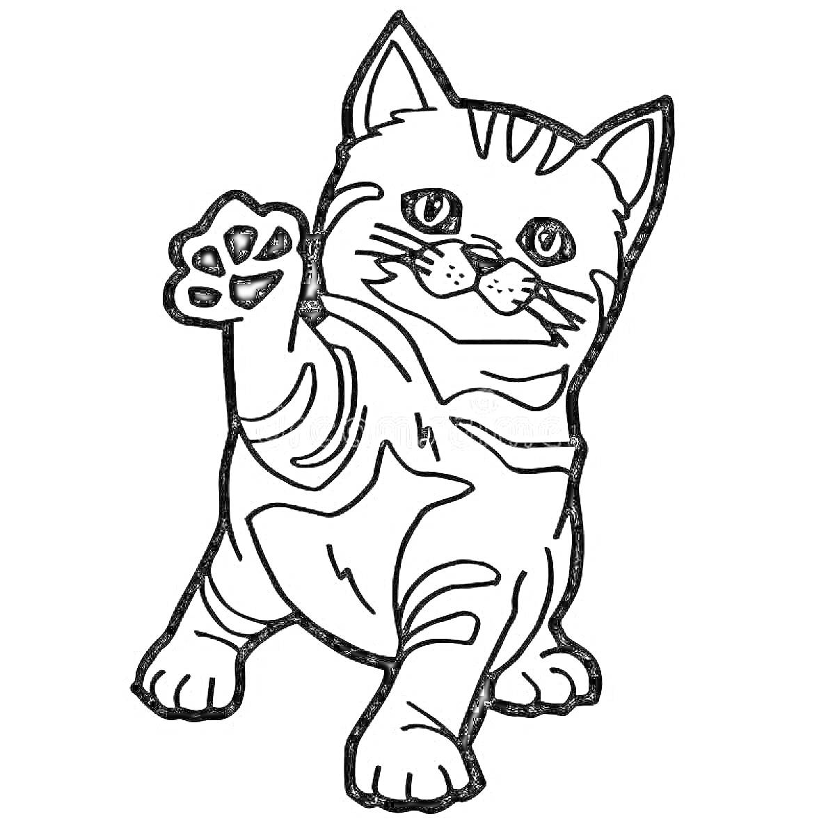 Раскраска Вислоухий кот с поднятой лапой