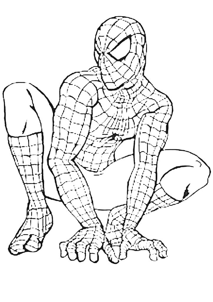 Раскраска Человек-паук в паучьей позе