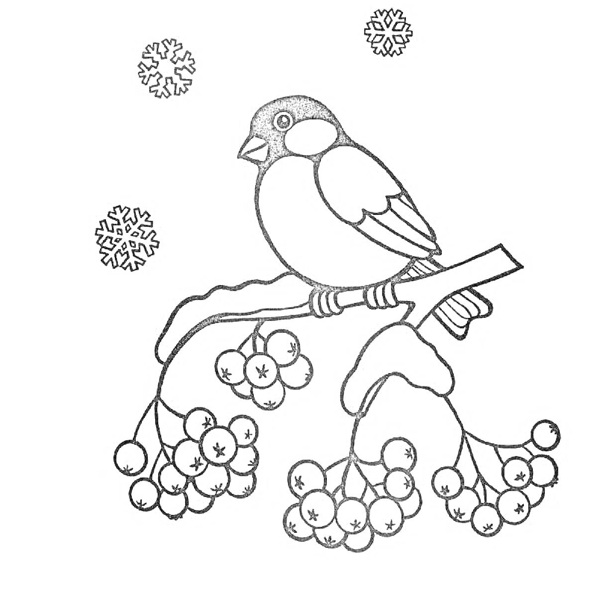 Раскраска Птичка на ветке с ягодами и снежинками