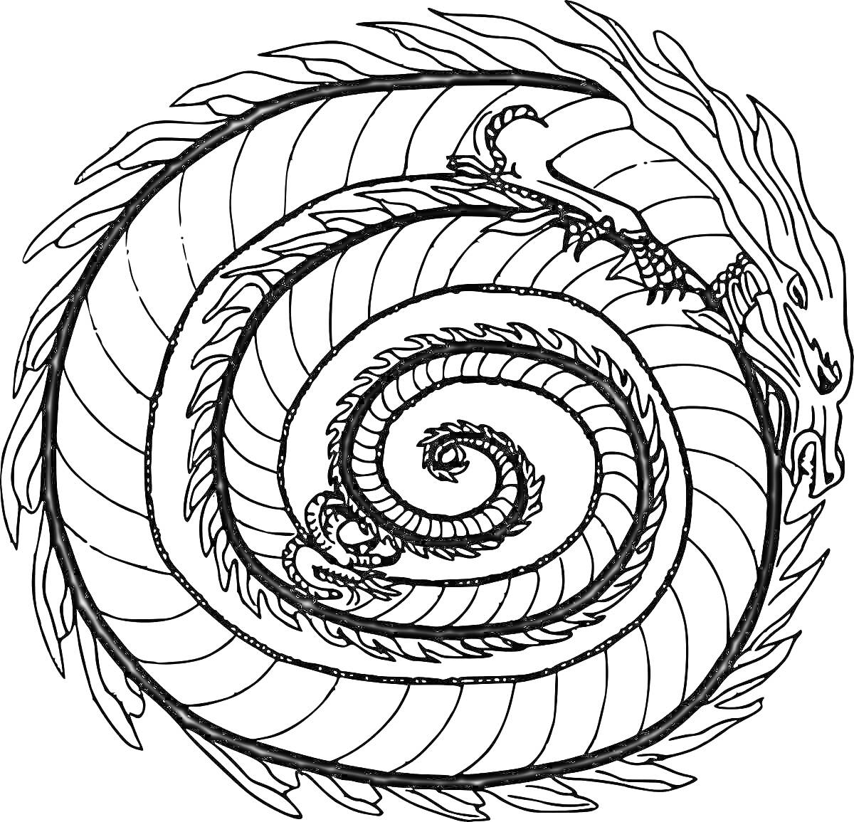 Раскраска Спиральная раскраска с драконом в форме спирали