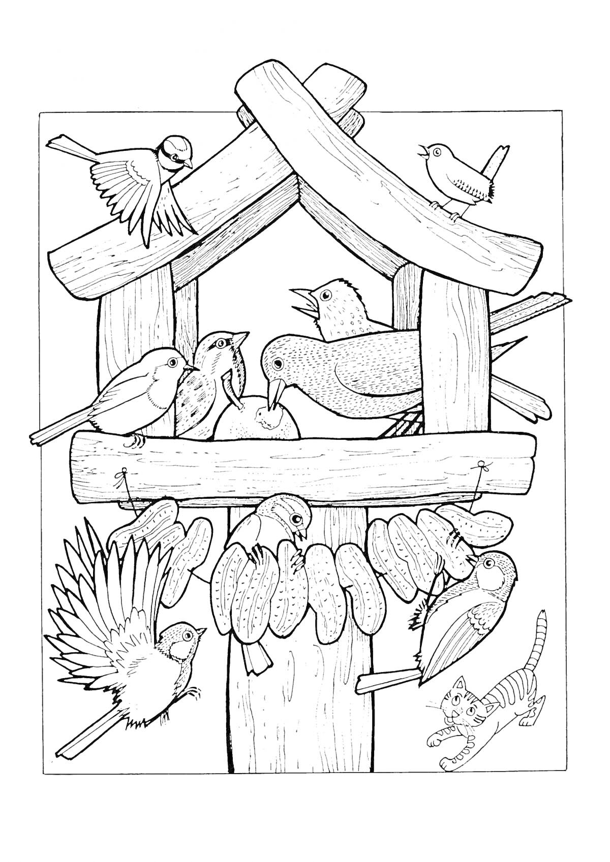 На раскраске изображено: Кормушка, Кот, Кормление птиц, Природа, Птица, Деревья, Животные