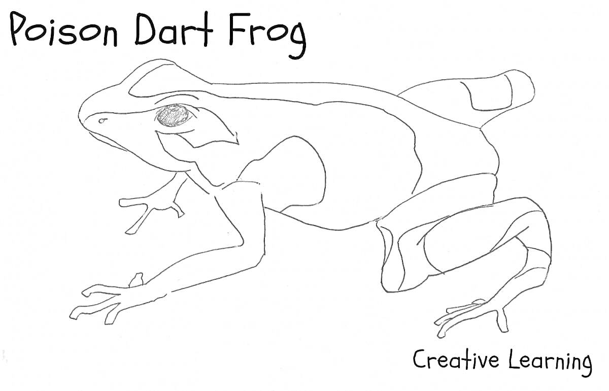 Раскраска Древолаз (Poison Dart Frog) с надписями 