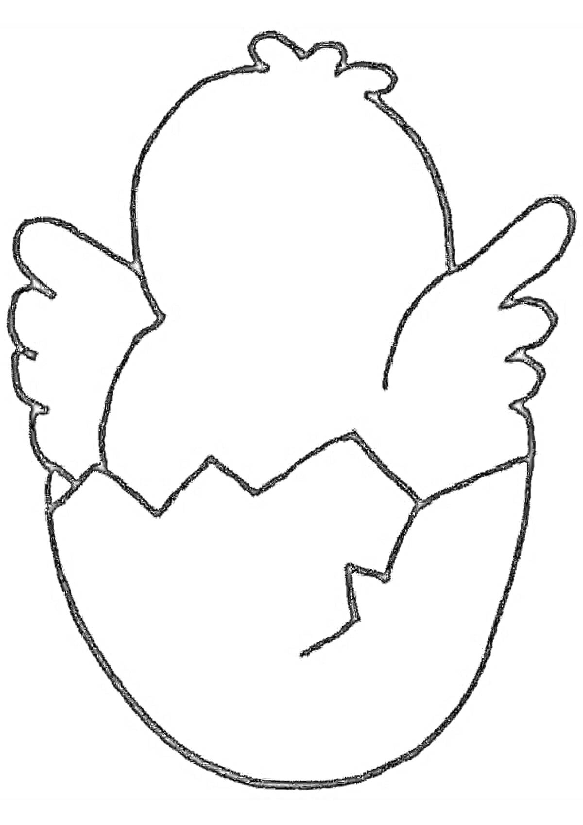 На раскраске изображено: Крылья, Разбитое яйцо, Птенец, Весна