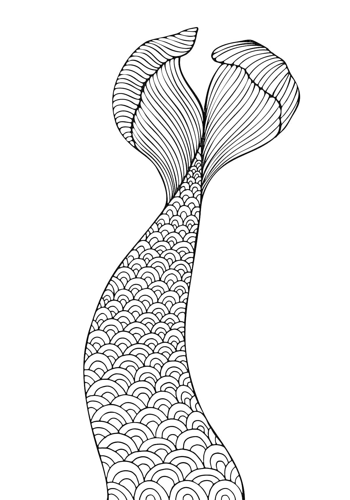 Раскраска Хвост русалки с узорами чешуи и плавников