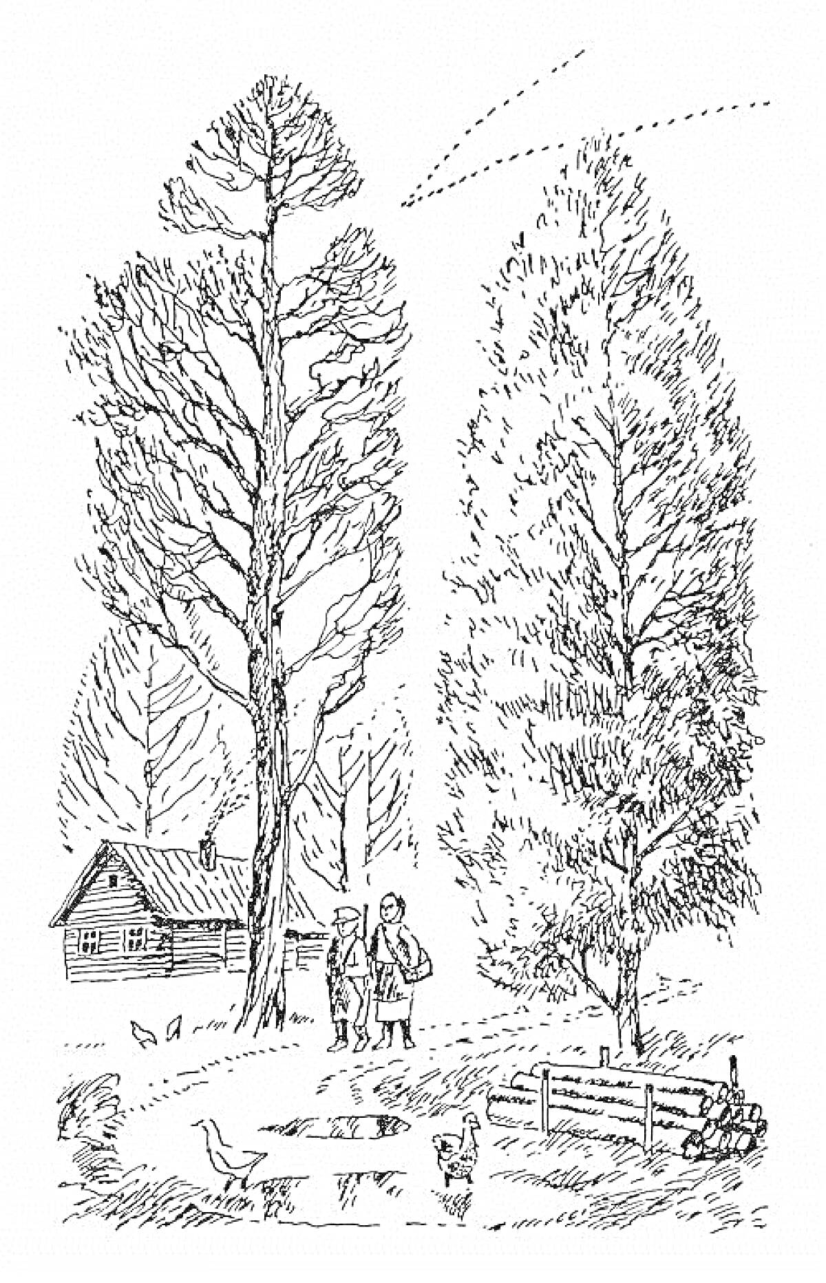Раскраска Домик в лесу с двумя людьми, курицей и утками возле пруда, под высоким деревом.