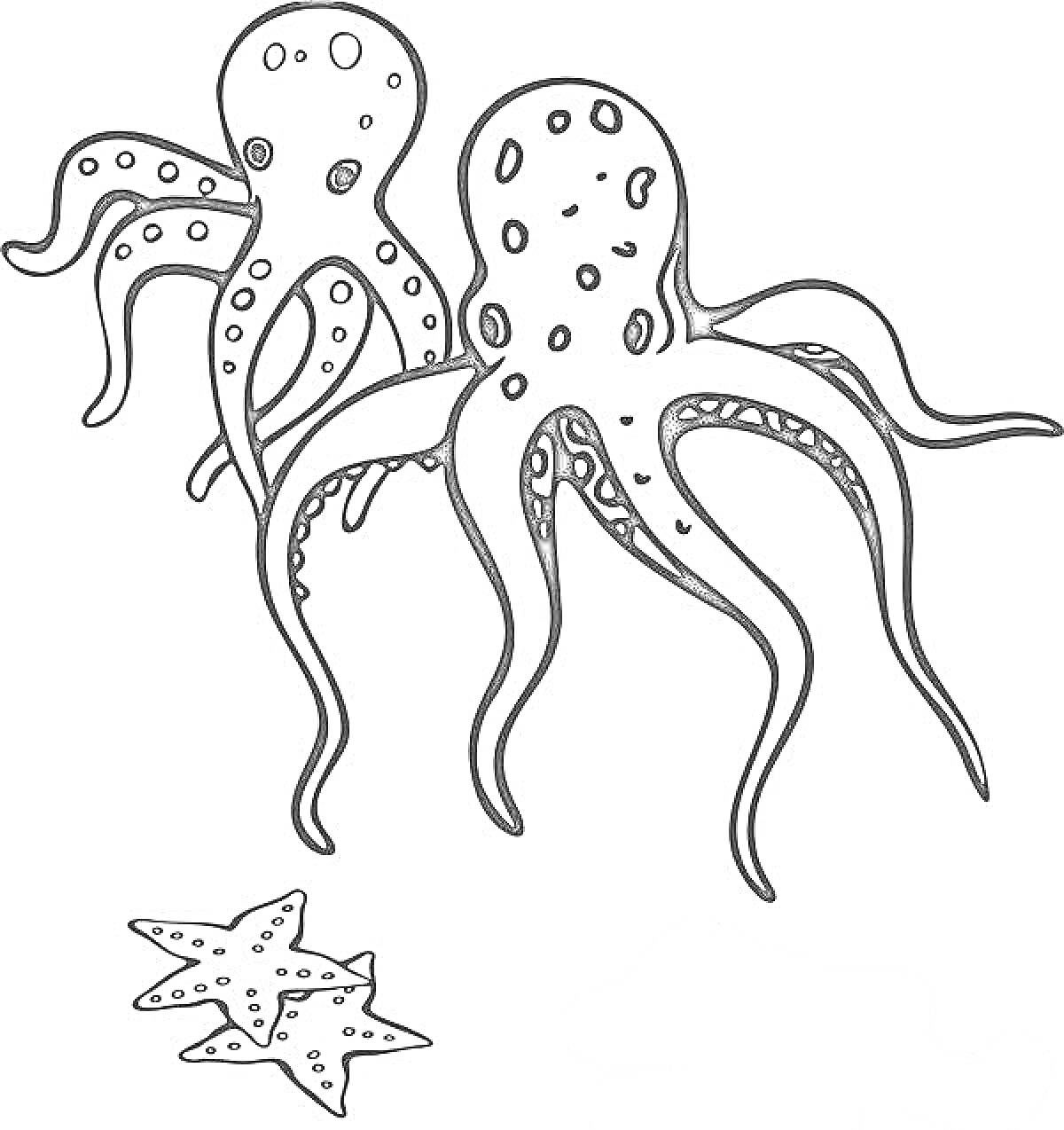 Раскраска Два осьминога и две морские звезды