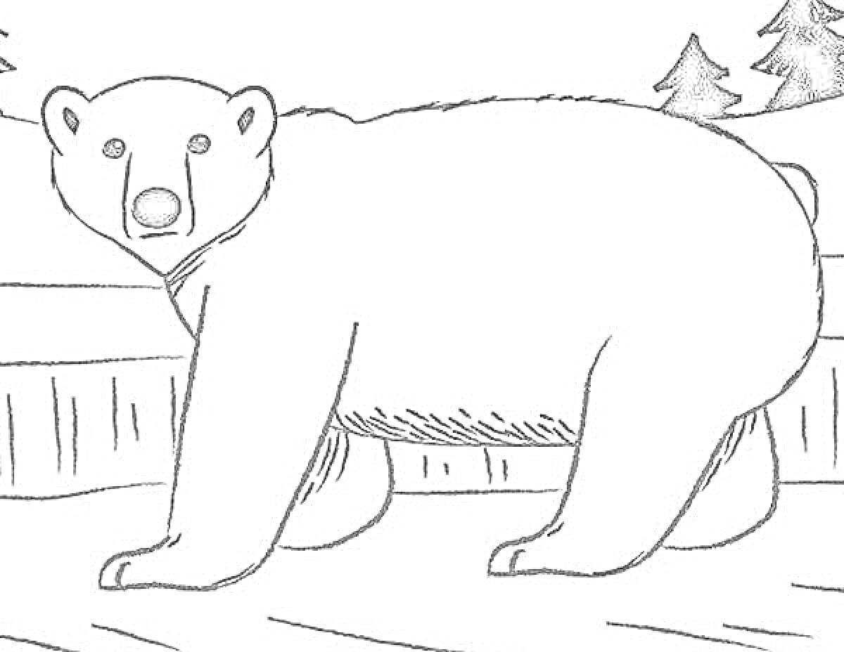 На раскраске изображено: Белый медведь, Природа, Деревья, Забор, Полярный медведь, Арктика, Для детей, Животные