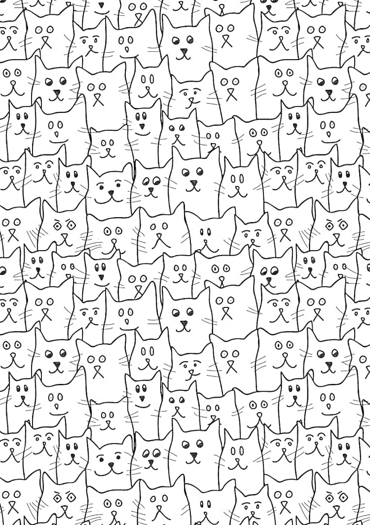 Раскраска множество различных котиков с разными выражениями лиц