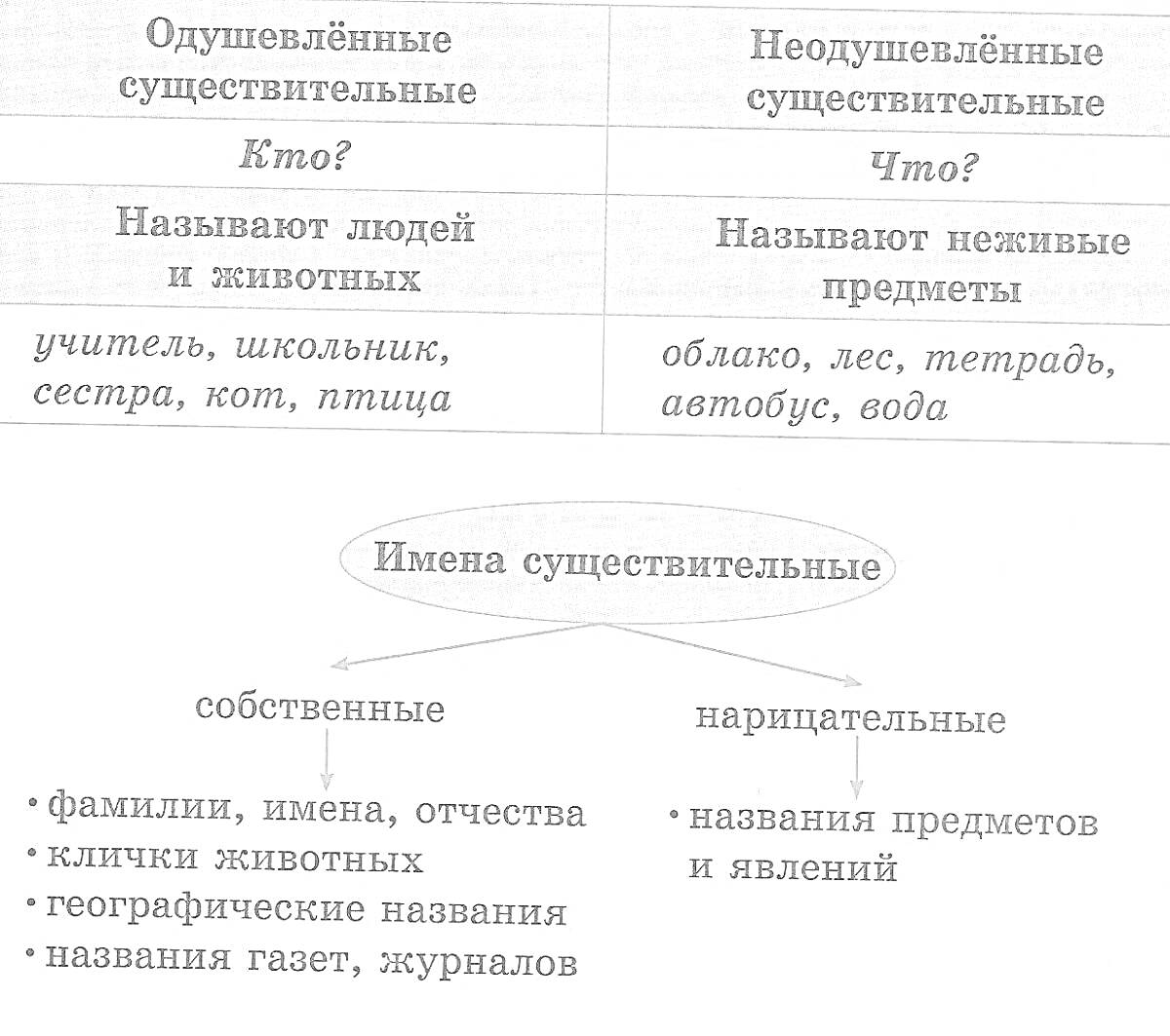 имена существительные: одушевленные и неодушевленные, собственные и нарицательные