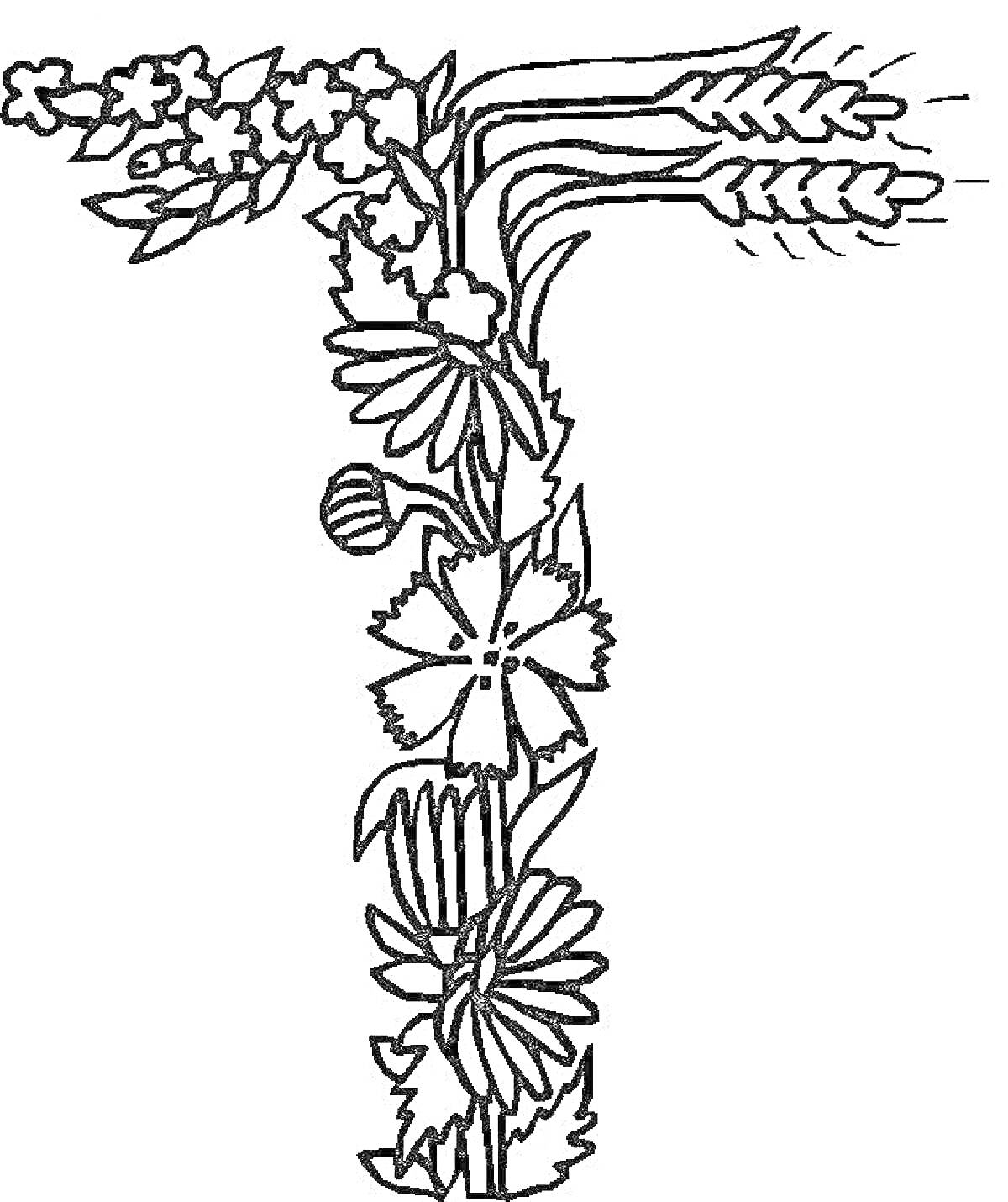 Раскраска Буква Т, украшенная цветами и колосьями пшеницы