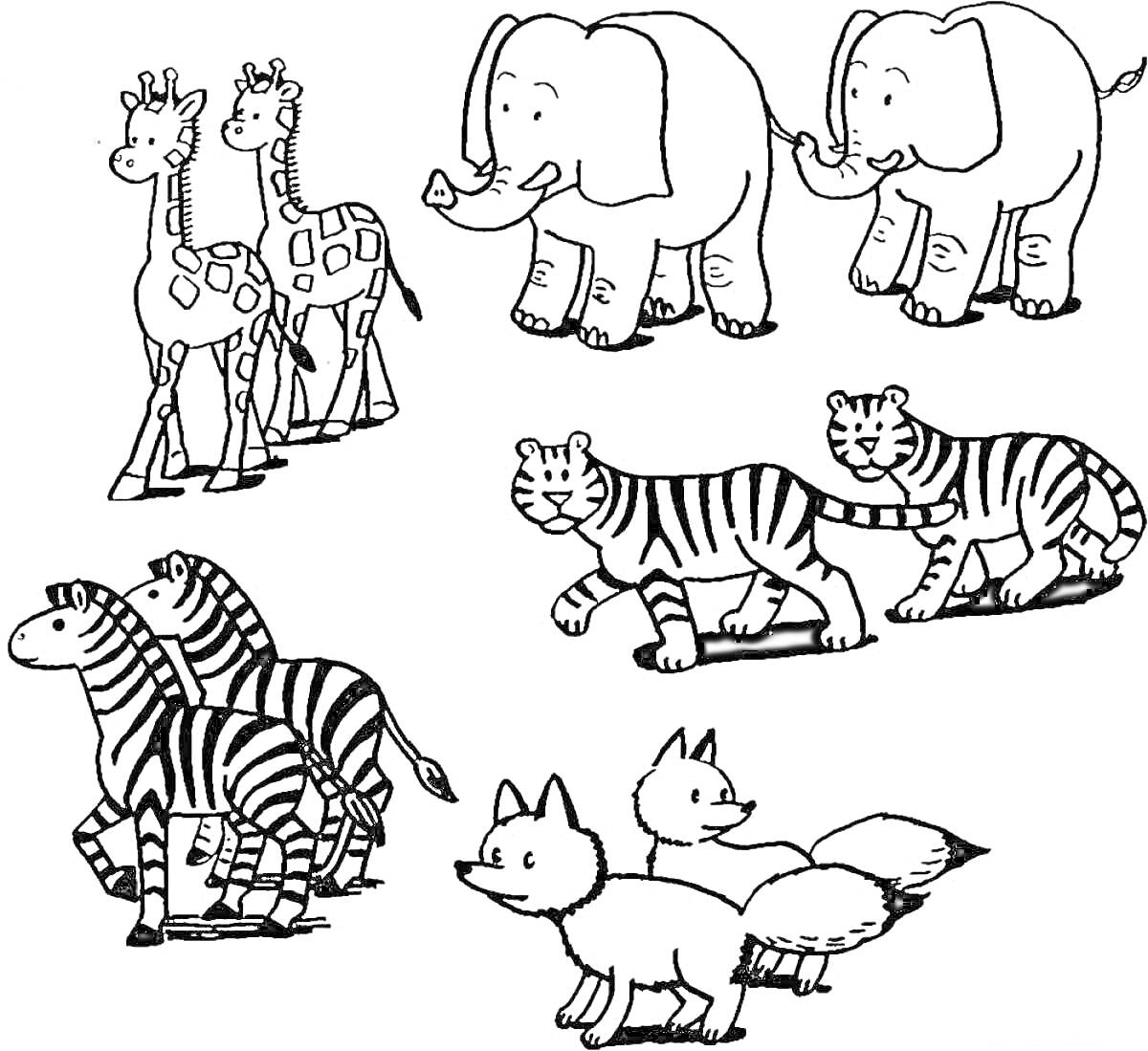 На раскраске изображено: Жирафы, Зебры, Лисы, Жаркие страны, Для детей, Животные, Слон, Тигр