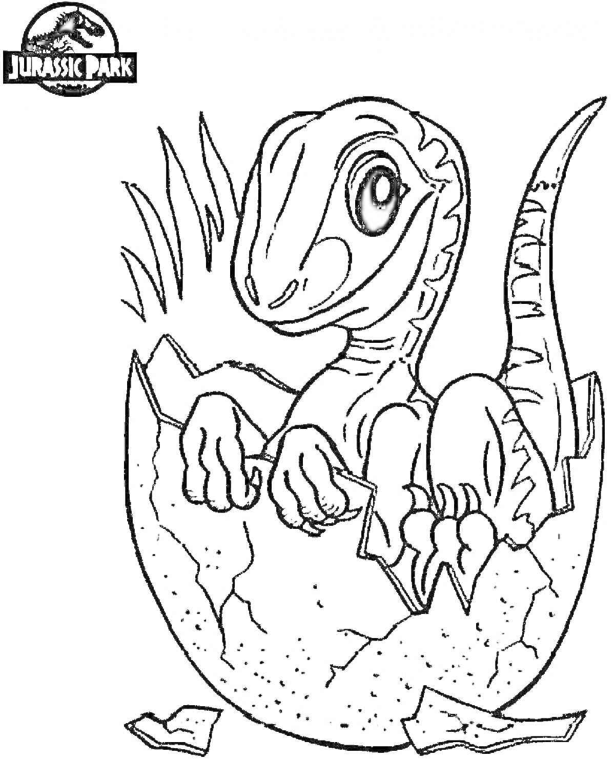 На раскраске изображено: Динозавр, Юрский период, Вылупление, Краски, Доисторическая эпоха