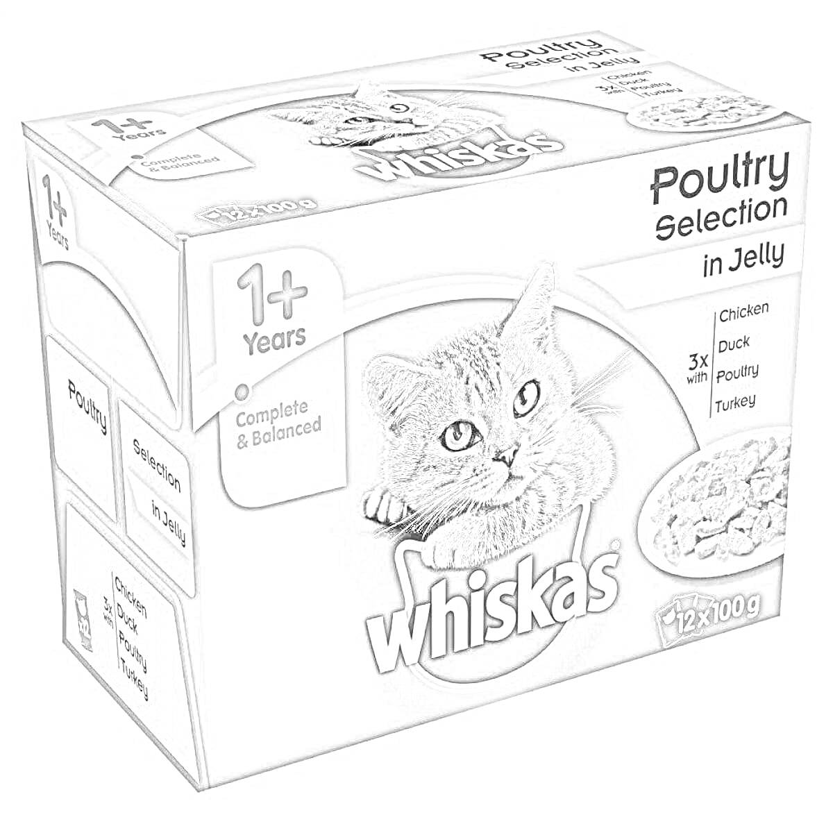 Раскраска Упаковка кошачьего корма Whiskas с изображением кошки, надписями 