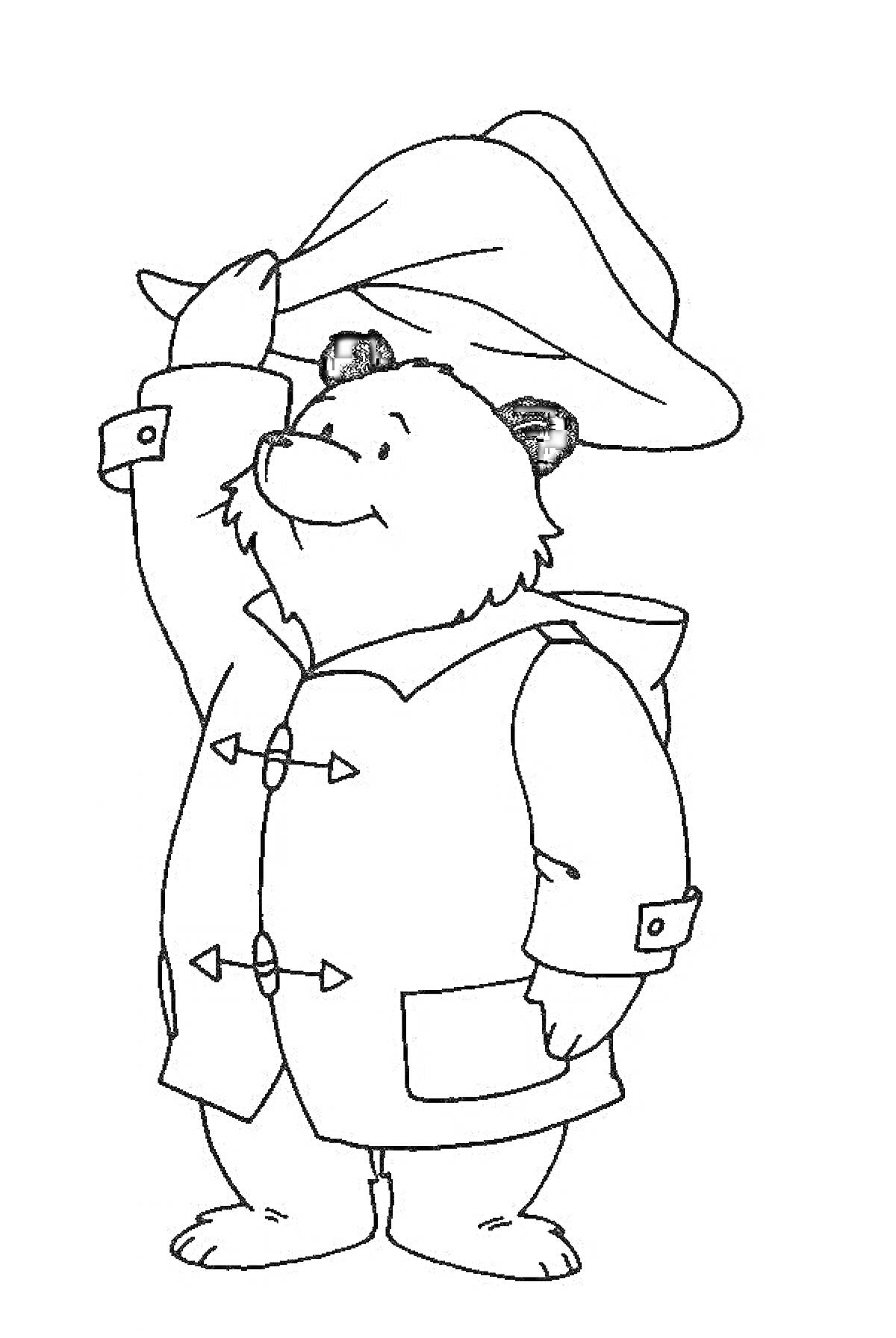 На раскраске изображено: Шляпа, Пальто, Медведь