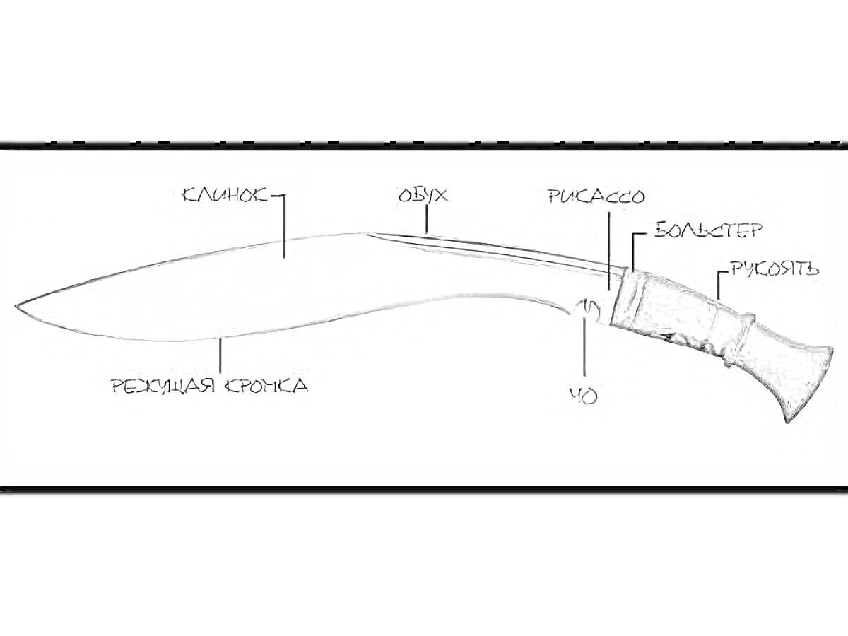 Раскраска Нож кукри с отмеченными элементами: клинок, реберная кромка, обух, рисассо, больстер, чо, рукоять.