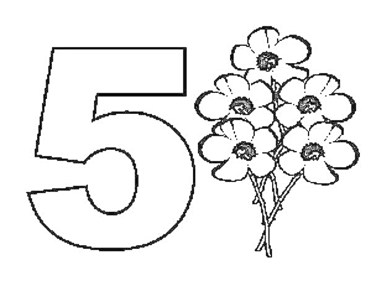 На раскраске изображено: Цифра 5, Цветы, Для детей, Обучение, Счет, Контурные рисунки