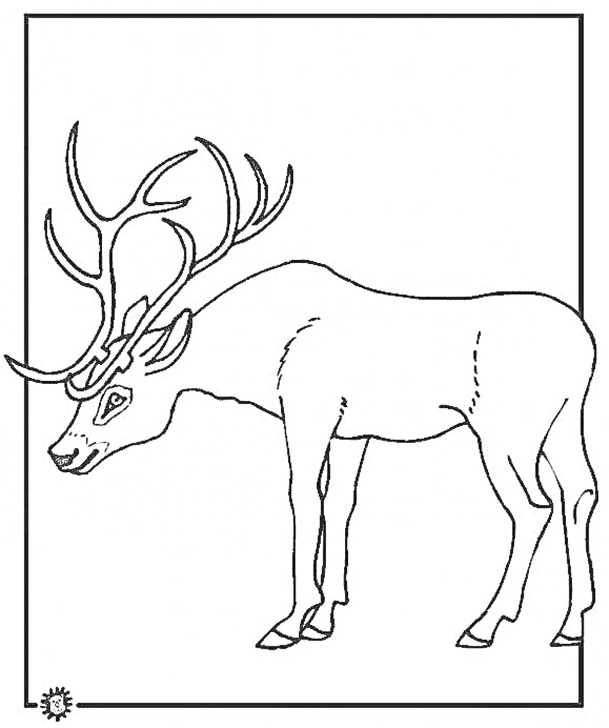 На раскраске изображено: Северный олень, Животные, Границы, Зима
