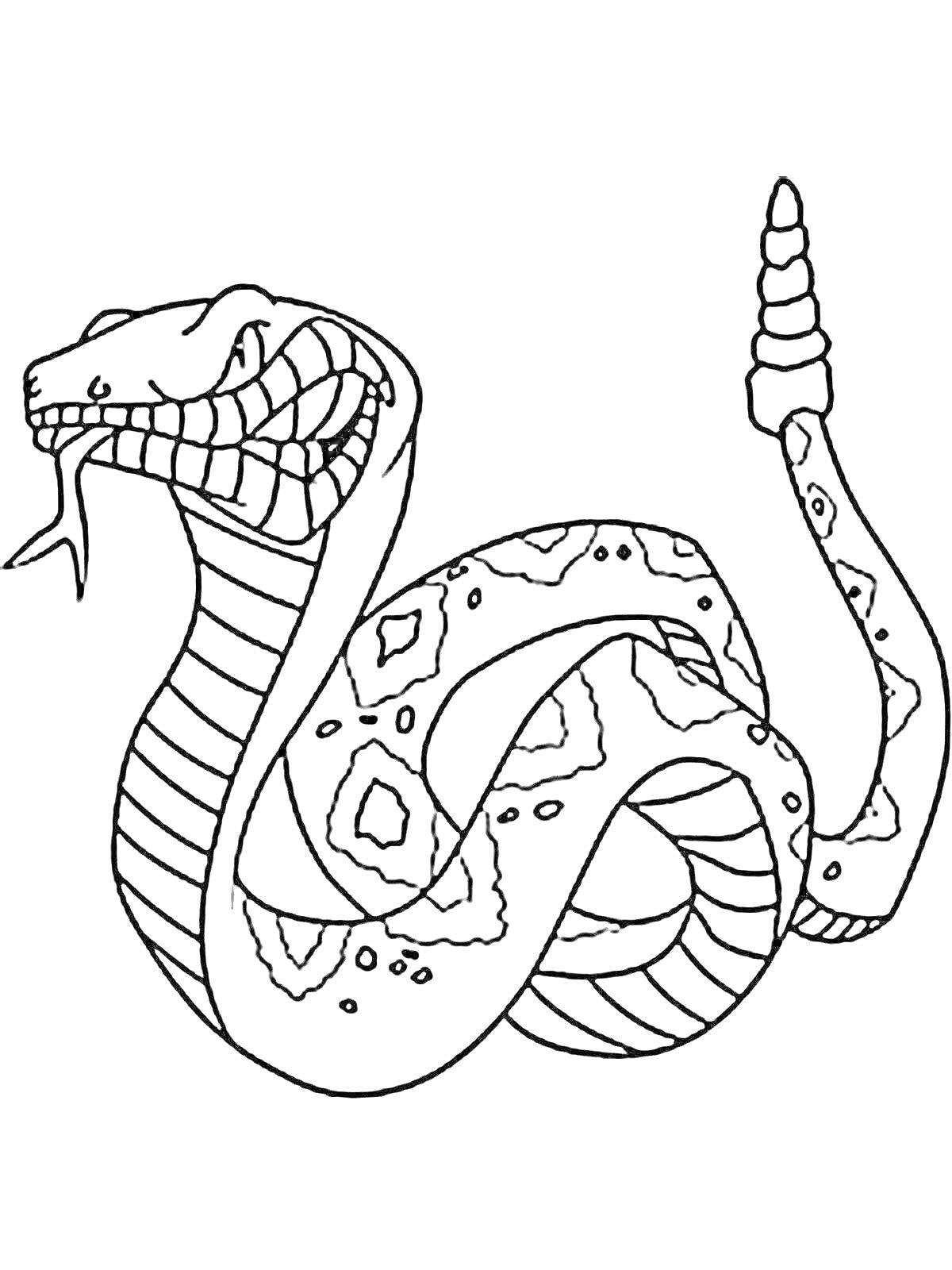 Раскраска Кобра с языком и капюшоном, узорчатое тело