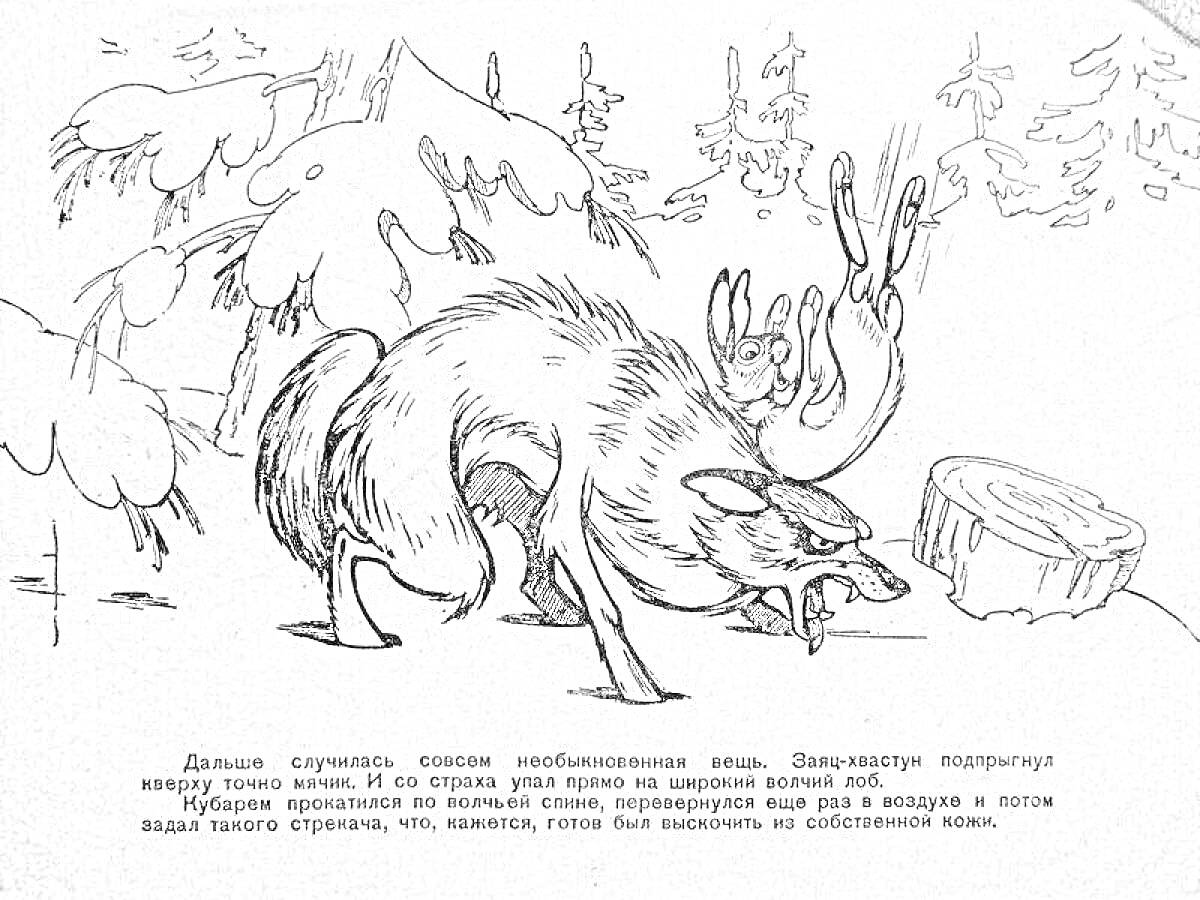 На раскраске изображено: Длинные уши, Косые глаза, Короткий хвост, Волк, Зимний лес, Пень, Снег, Уши