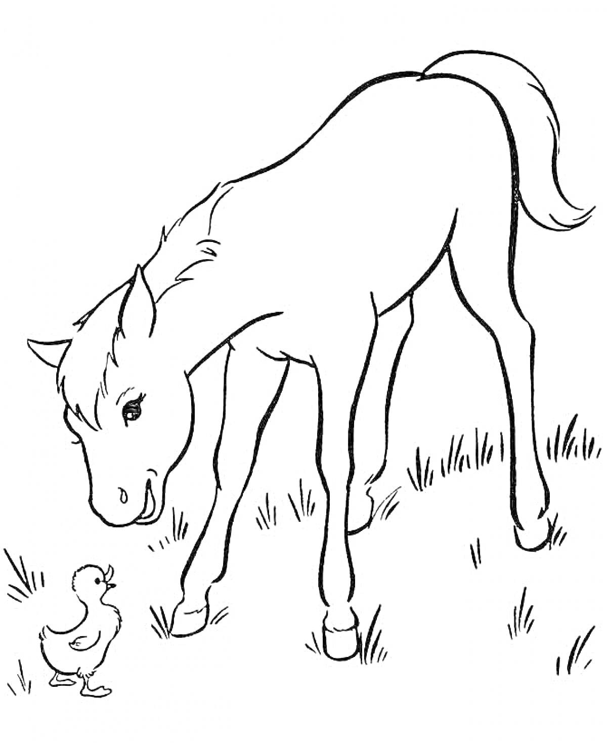 Лошадь и утенок на траве