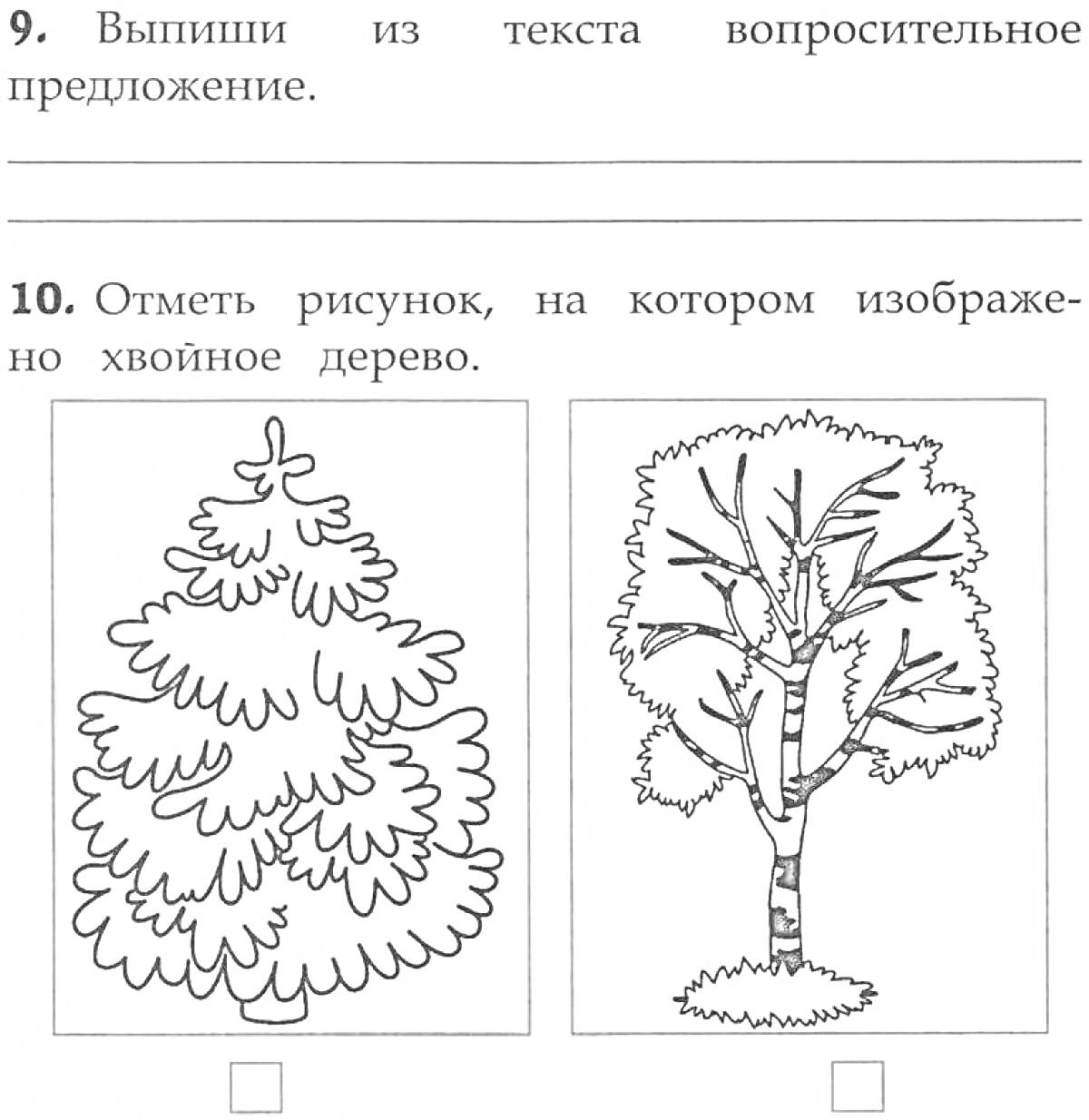 На раскраске изображено: 1 класс, Учебное задание, Береза, Деревья, Листья