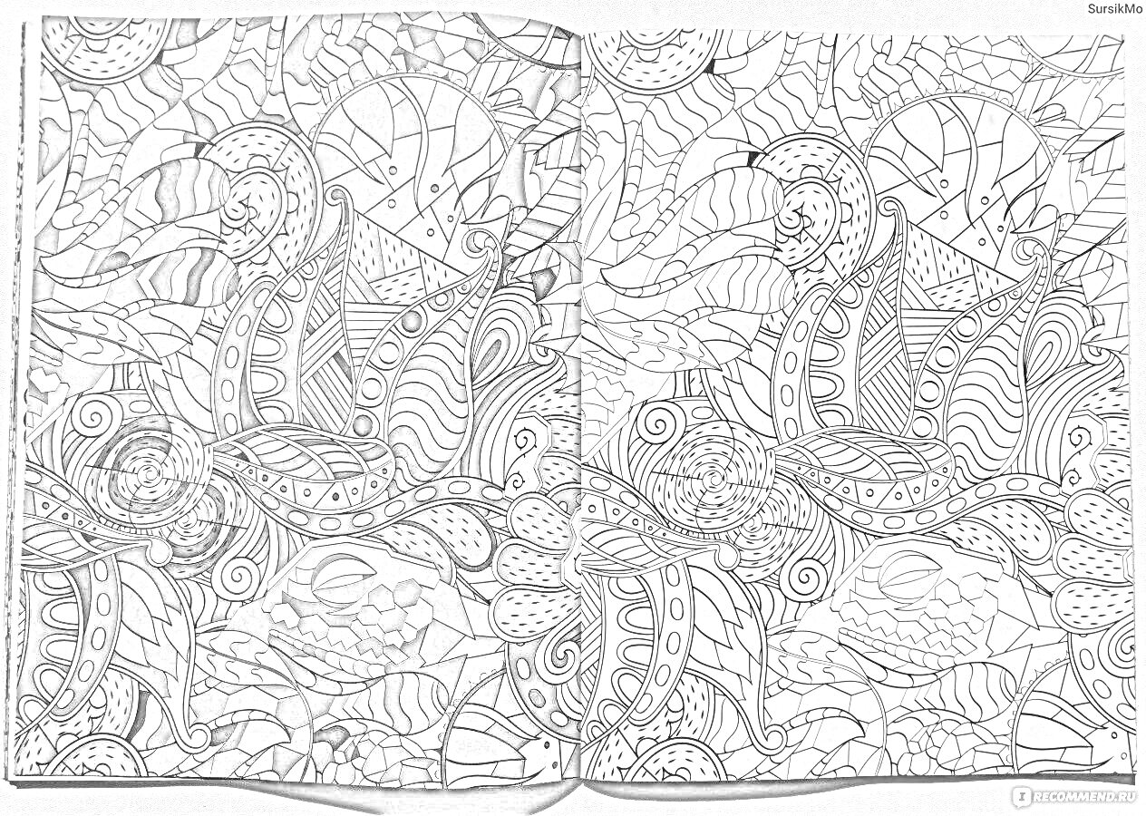 Раскраска Антистрессовая раскраска зендудлы с абстрактными узорами, листьями, линиями и волнами