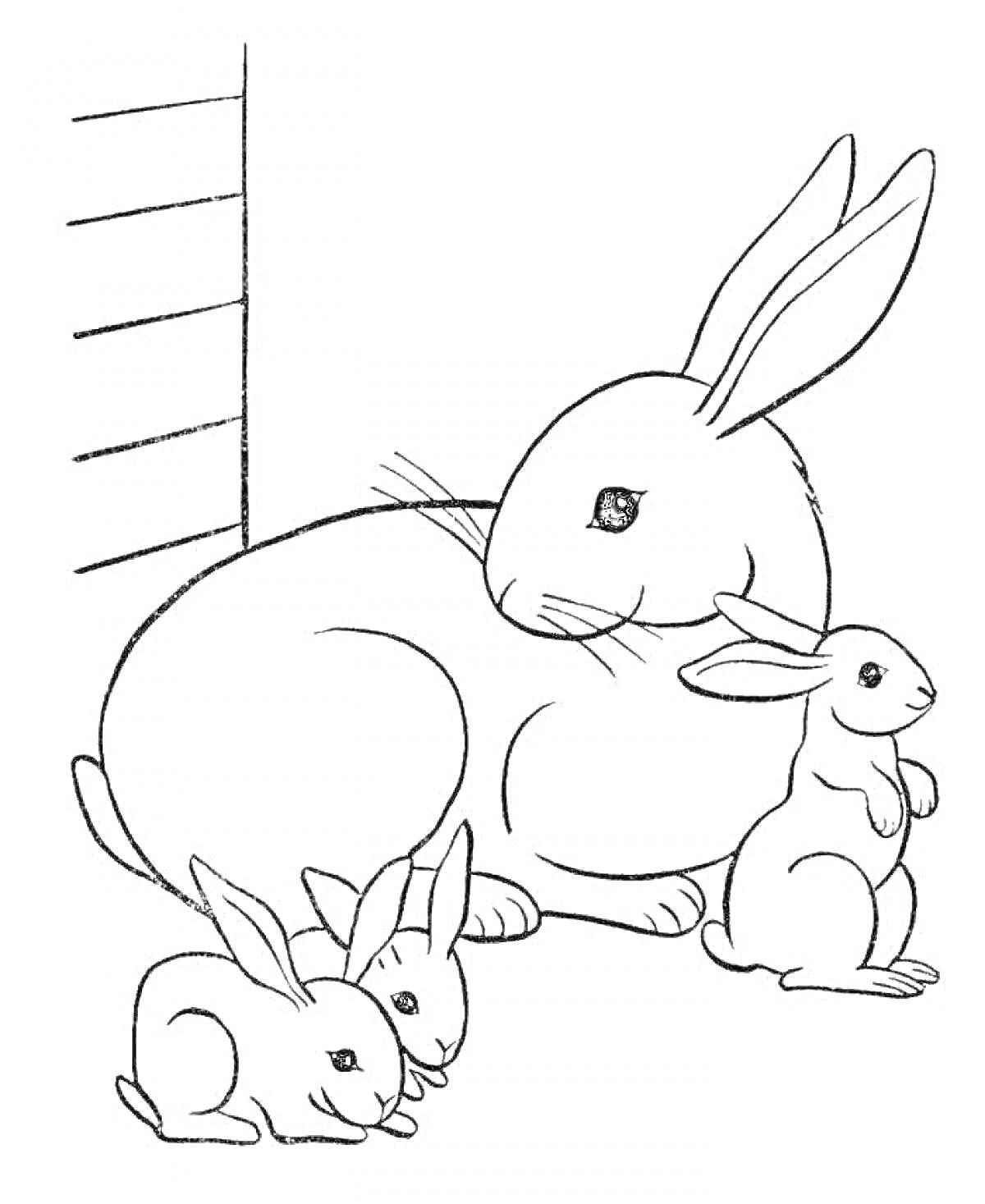 На раскраске изображено: Крольчонок, Стена, Семья, Малыш, Животные, Природа
