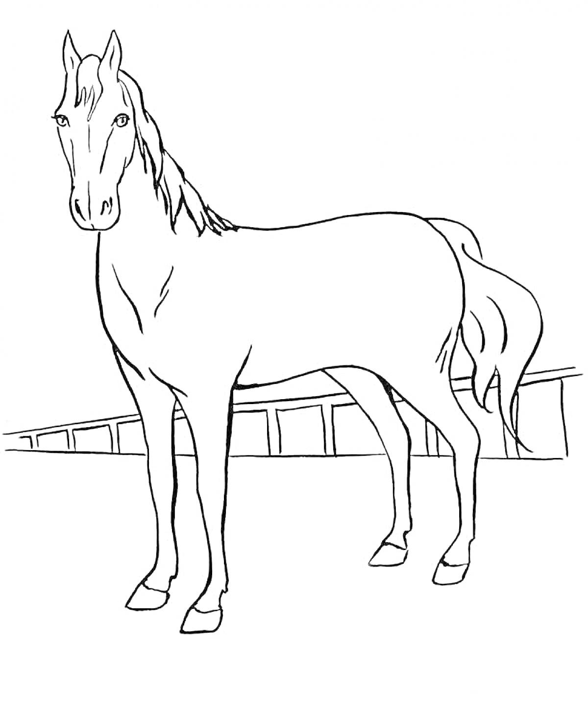 Раскраска Лошадь на фоне загородки