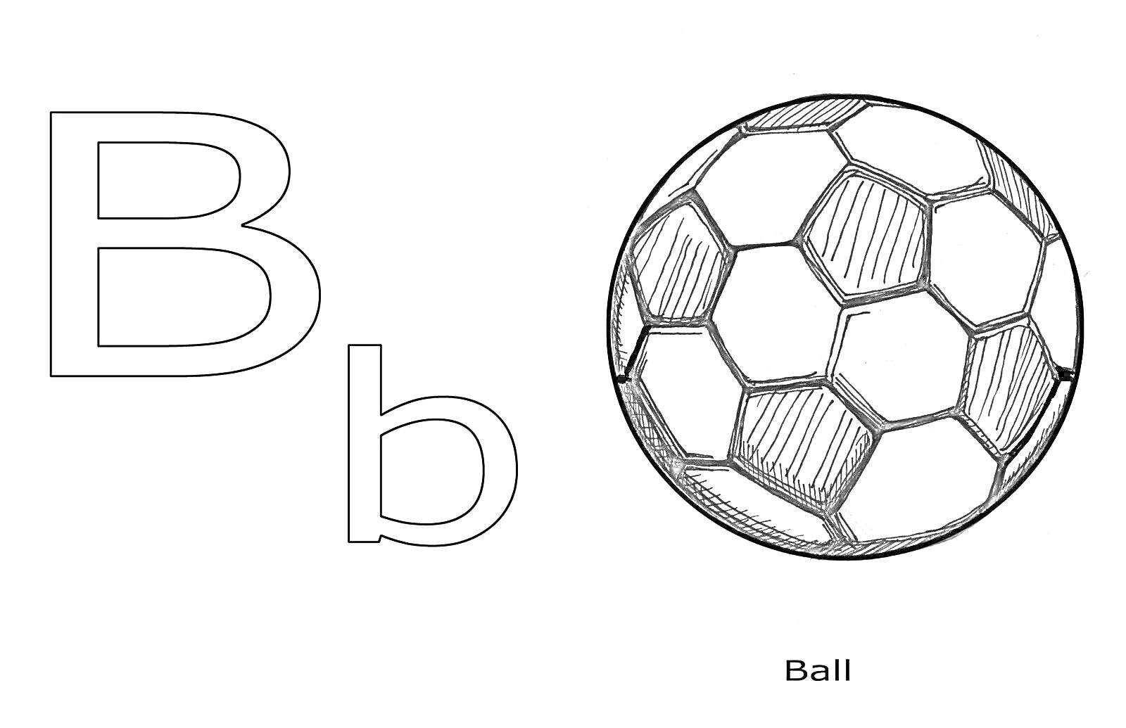 Раскраска буква B, мяч
