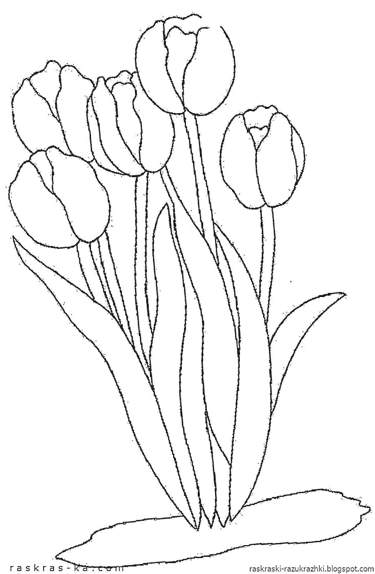 На раскраске изображено: Тюльпаны, Цветы, Весна, Клумба, Листья, Бутон