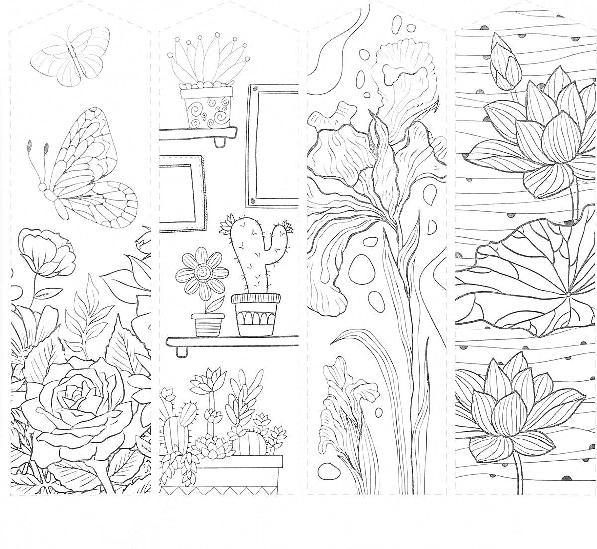 На раскраске изображено: Цветы, Розы, Кактусы, Суккуленты, Комнатные растения, Водяные лилии, Антистресс