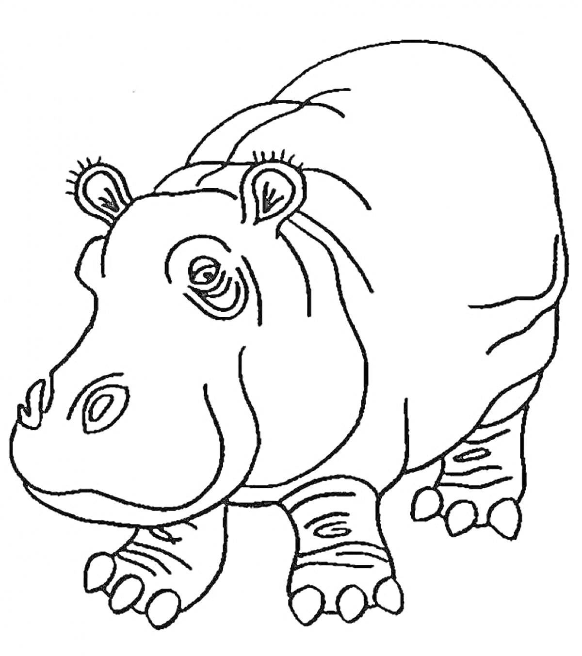 Раскраска Раскраска с изображением бегемота