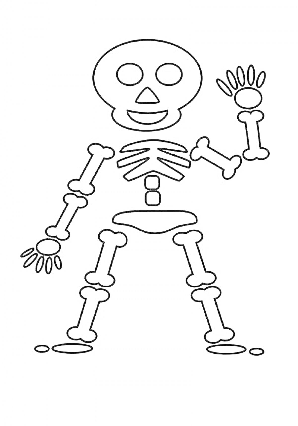 На раскраске изображено: Скелет, Кости, Череп, Руки, Ноги