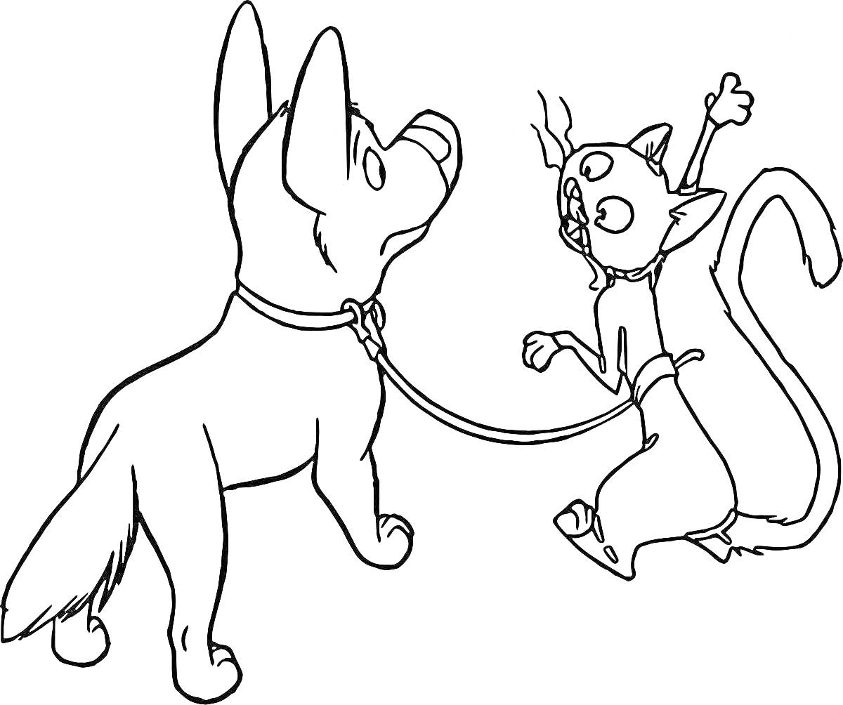 Раскраска Собака с поводком и кошка, привязанная к собаке
