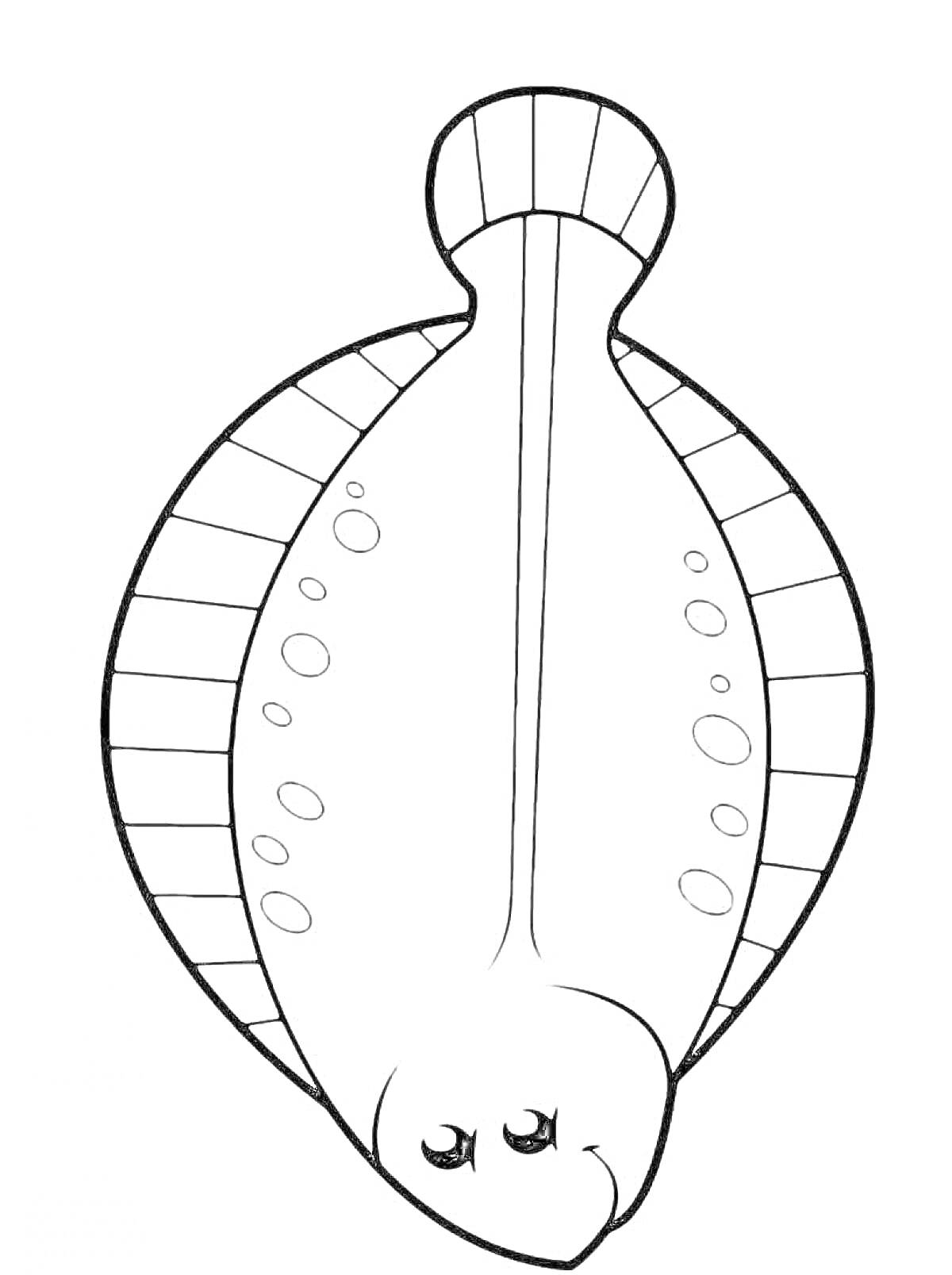 На раскраске изображено: Камбала, Рыба, Морская жизнь, Пятна, Большие глаза