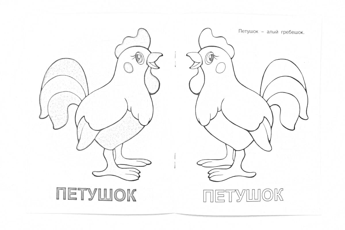 Раскраска Петушок, раскраска с цветным образцом и контуром для раскрашивания