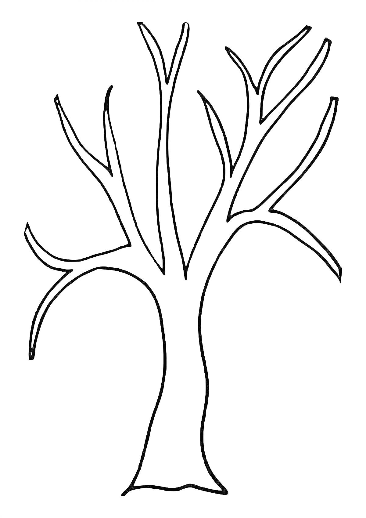 РаскраскаКонтурное дерево без листьев