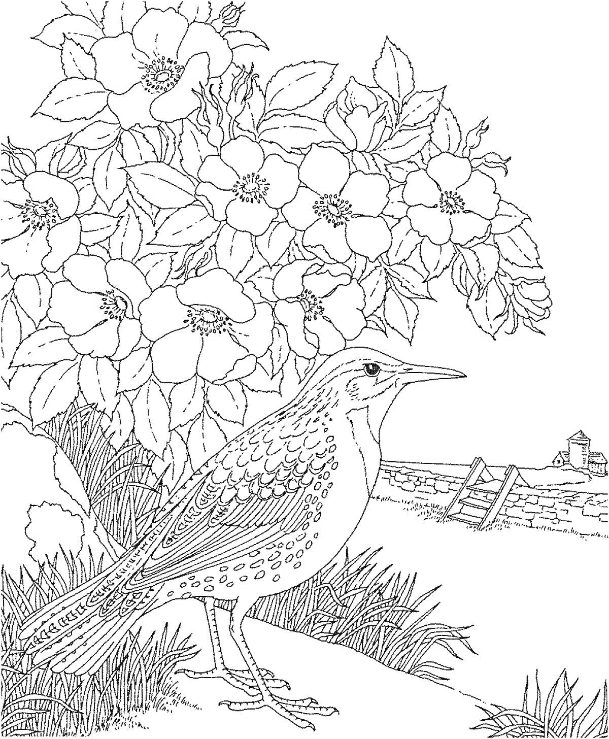 Раскраска Птица на фоне цветущего куста и сельского пейзажа с забором и зданием