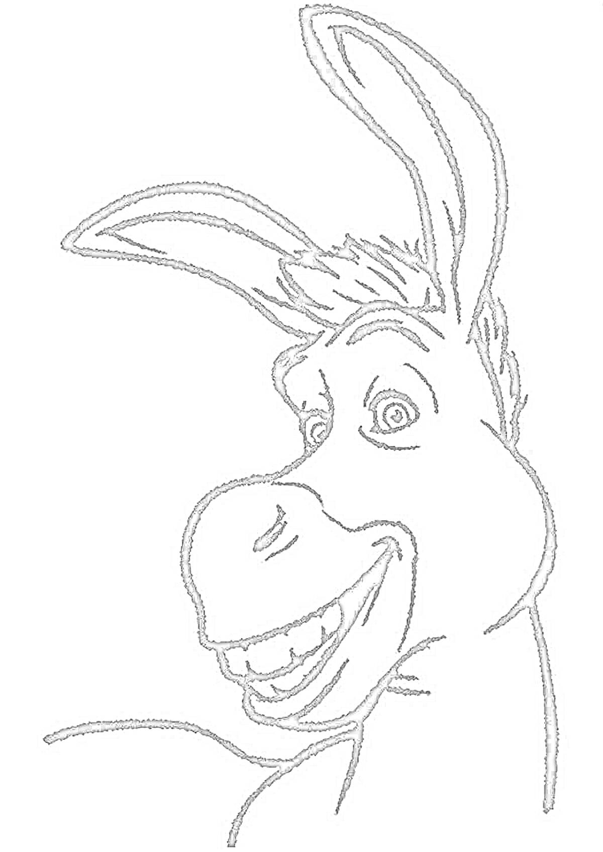 На раскраске изображено: Осел, Улыбка, Уши