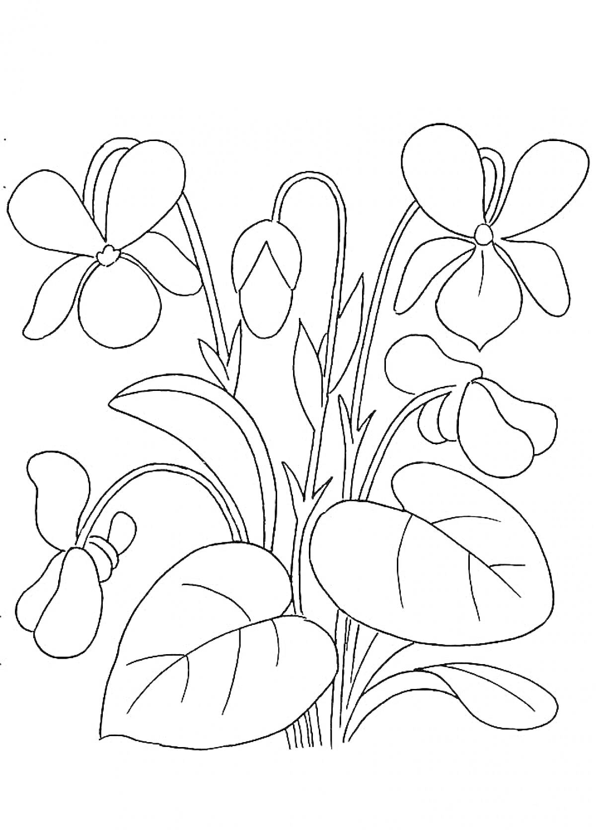 На раскраске изображено: Весна, Цветы, Листья, Растения, Клумба, Весенние цветы