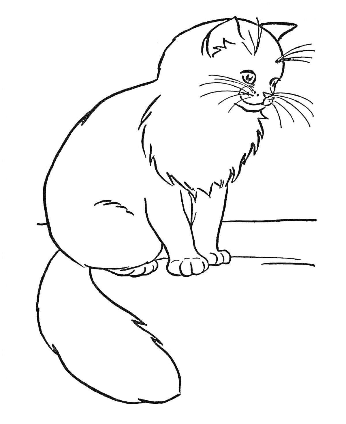 Раскраска Кот сидит на подоконнике