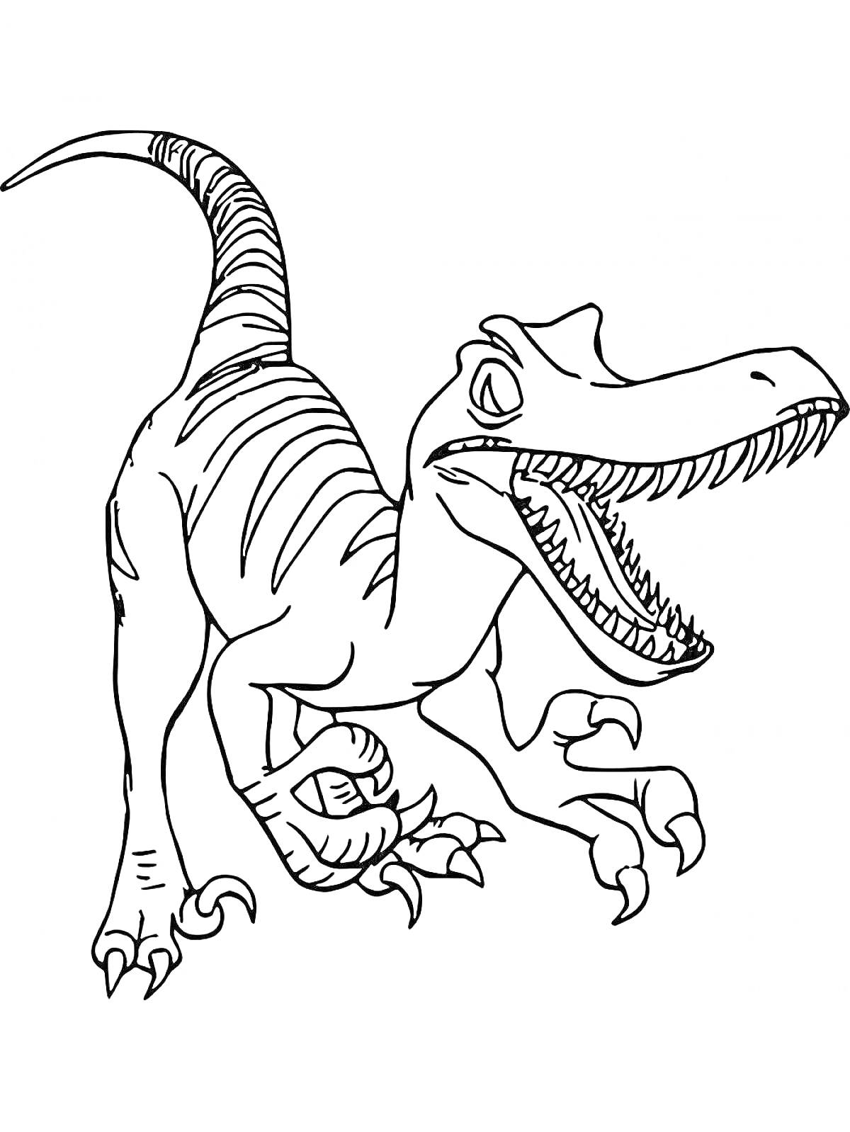 Раскраска Динозавр с открытой пастью, вытянутым хвостом и когтями на лапах